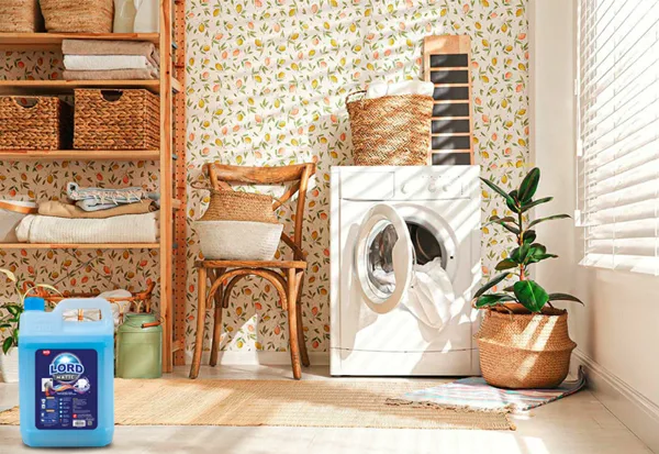 Lord selects experts for washing machines and clothes