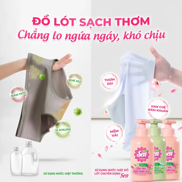 NƯỚC GIẶT ĐỒ LÓT HƯƠNG SEN – GIẢI PHÁP CHĂM SÓC ĐỒ LÓT AN TOÀN, DỊU NHẸ CHO SỨC KHỎE
