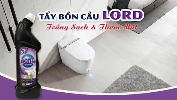 Lord Ultra-clean toilet cleaner, extremely strong antibacterial
