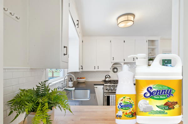 List of good dishwashing liquids that are safe for hand skin