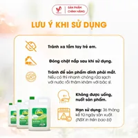 Lord dishwashing cleaner