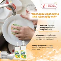 Senny Ginger & Orange Concentrated Dishwashing Liquid x3