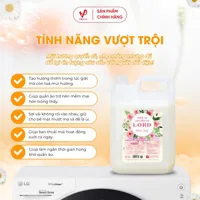 LORD Passion Fabric Softener 9.36kg