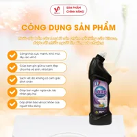 Lord Toilet Cleaner