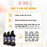 Lord Toilet Cleaner