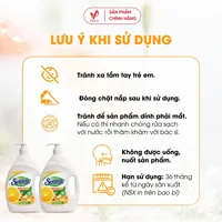 Senny Ginger & Orange Dishwashing Liquid 1.4kg