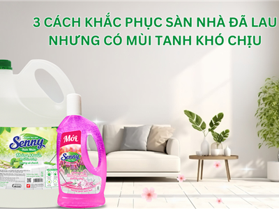 3 Cách Khắc Phục Sàn Nhà Đã Lau Nhưng Vẫn Có Mùi Tanh Khó Chịu